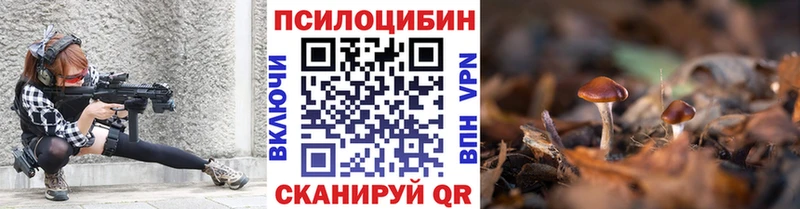 ссылка на мегу рабочий сайт  Рудня  Галлюциногенные грибы мицелий 